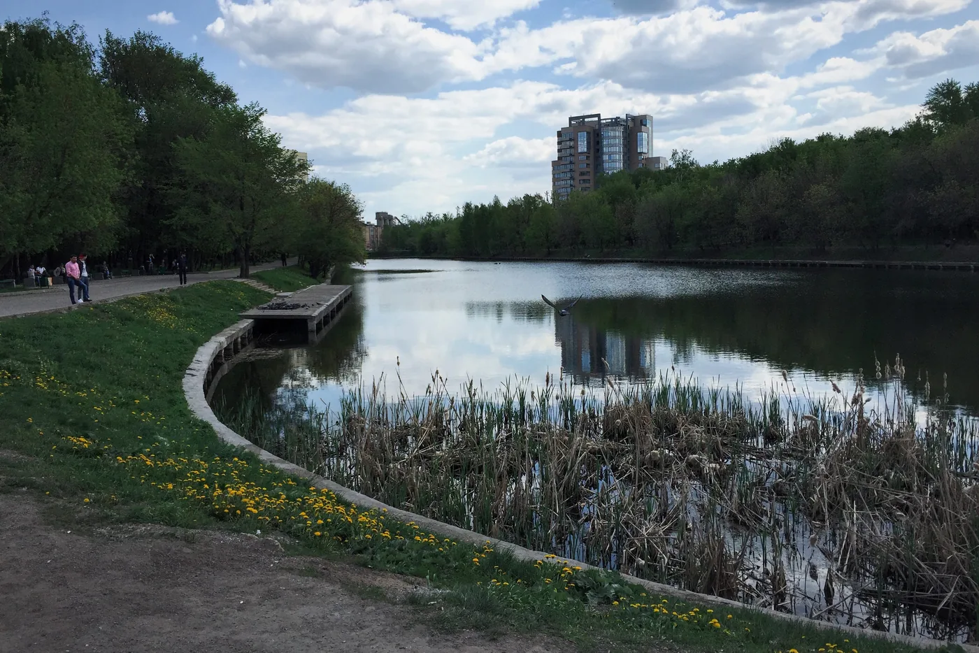 Владимирский пруд летом